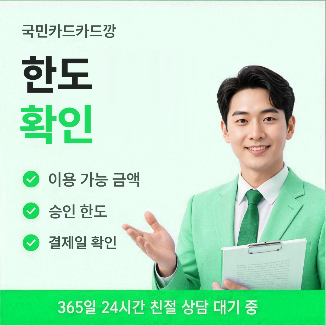 다음머니 국민카드카드깡 한도 확인 안내