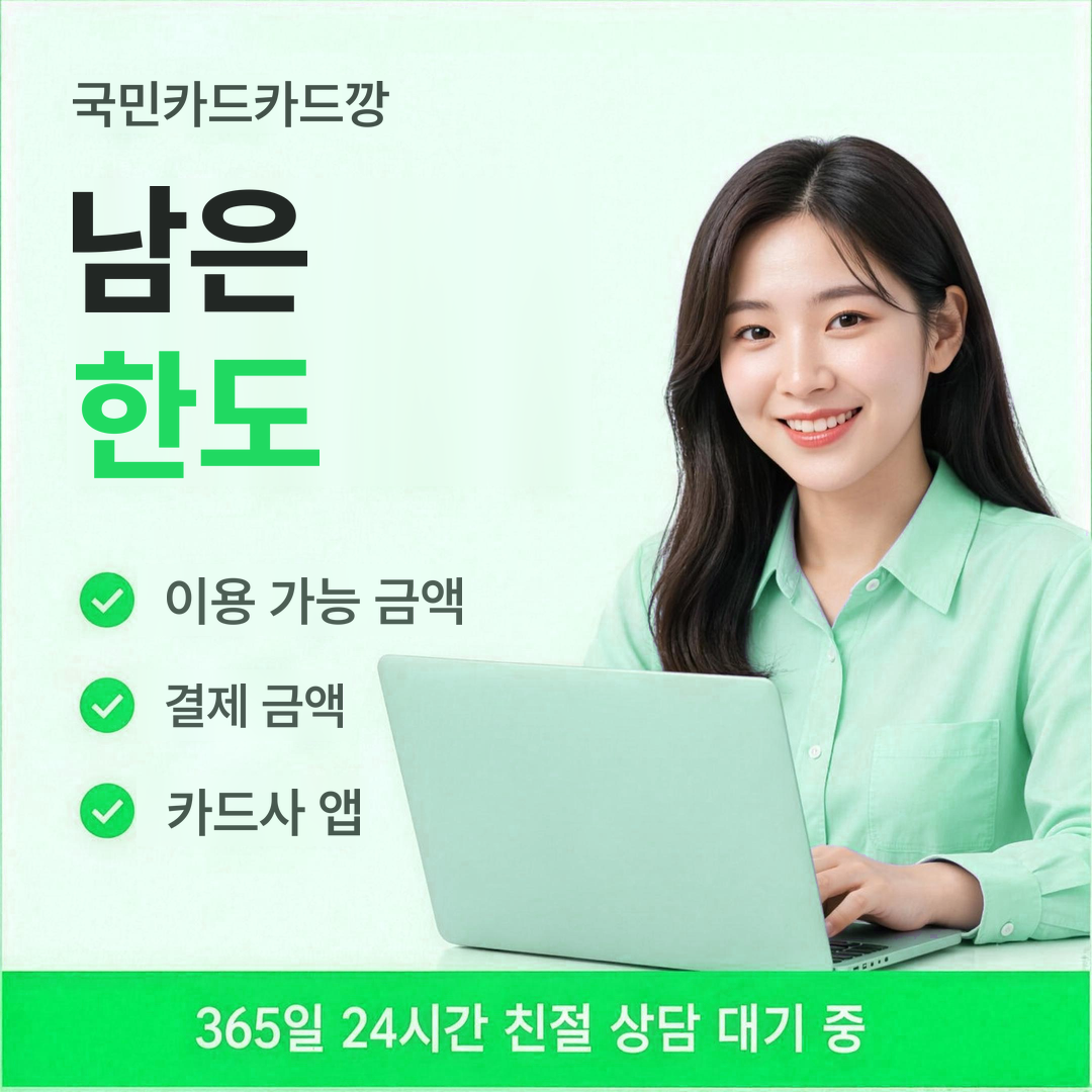 다음머니 국민카드카드깡 남은 한도 안내